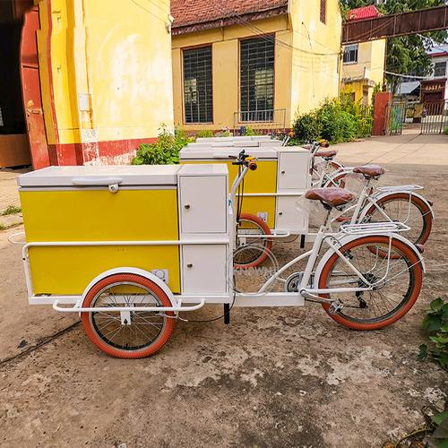 户外移动冰淇淋自行车电动冰柜榨汁机自动售货三轮车热狗披萨推车亭